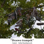 Drzewo