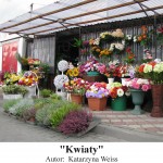 Kwiat