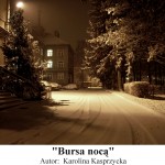 Nursa nocą