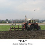 Pole