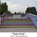 Skate